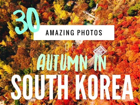 30 Photos That Prove Fall In Korea Just Won At Life Television Of Nomads