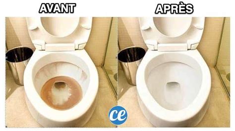 Top 45 Imagen Avec Quoi Nettoyer Le Fond Des Toilettes Fr