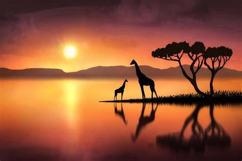 The Giraffes At Sunset Giraffe Painting Giraffe Pictures Giraffe Art