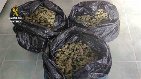 Descubren una plantación de marihuana al lado de un colegio en Mairena