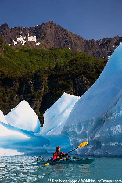 Kenai Fjords Kayaking Photo Kayak Camping, Canoe And Kayak, Kayak Fishing, Fishing Tips, Canoe ...