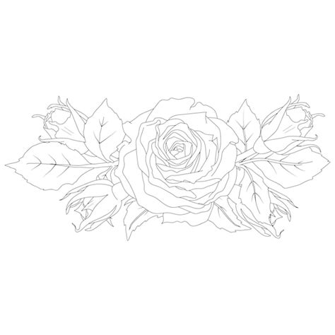 Composición horizontal de rosas y capullos ilustración vectorial en