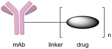 Ijms Free Full Text Methods To Design And Synthesize Antibody Drug