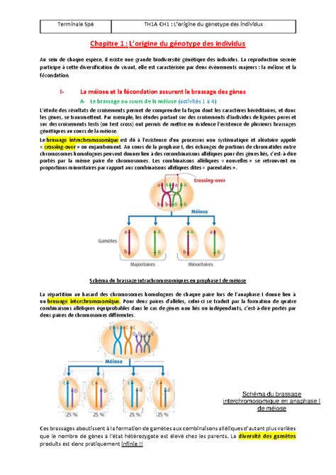 Th A Ch D But Cours Terminale Sp Th A Ch Lorigine Du G Notype