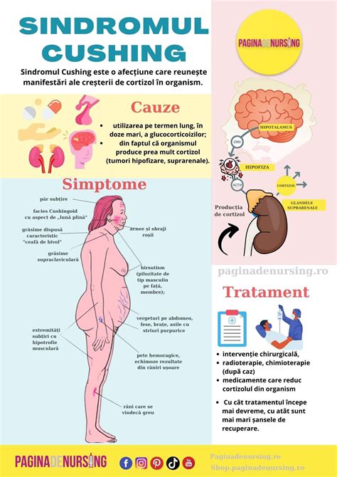 Human Body Nurse Study Yoga Info Health Medicine Biology Anatomy