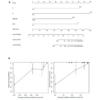 The Nomogram And Model Calibration Curve A Nomogram Including T