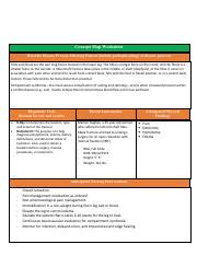 Vsim Marilyn Hughes Concept Sbar Ws Docx Concept Map Worksheet