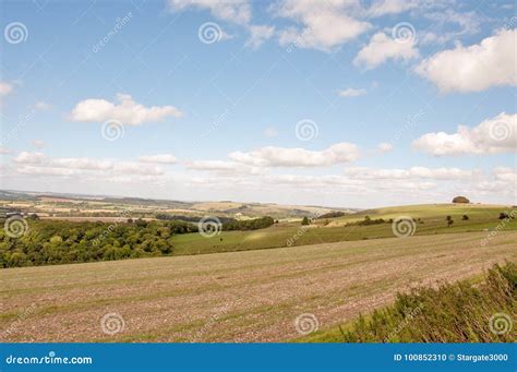 Agricultural Landscape in the Wiltshire Countryside. Stock Photo ...