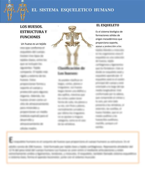 Solution Generalidades Del Esqueleto Humano Studypool