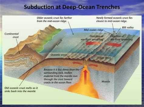 Ocean Surface Trench Diagram Labeled