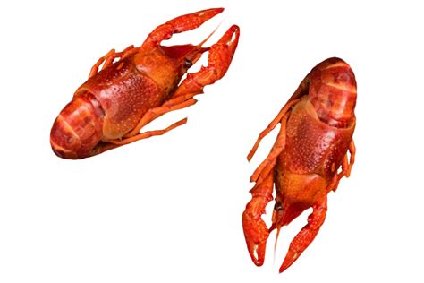 Lobster Seafood Lobster Seafood Food Png Transparent Image And