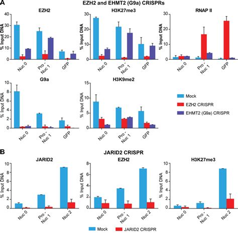 Distribution Of Histone Methyltransferases And Methylated Histones On Download Scientific