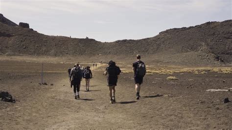 Vídeo de arquivo Premium Grupo de caminhantes nos caminhos para a