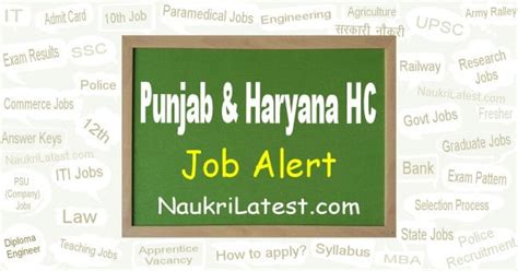 High Court Of Punjab And Haryana Job Apply Online For Clerk Posts