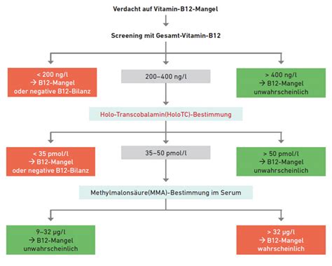 Vitamin B12 Mangel Ladr