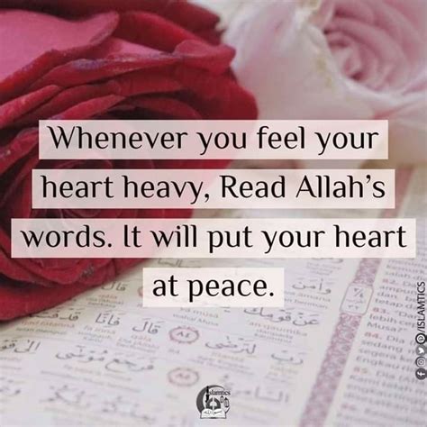 Pin On Islamic Quotes Nd Islamic Calligaraphy Love Fo How Are You