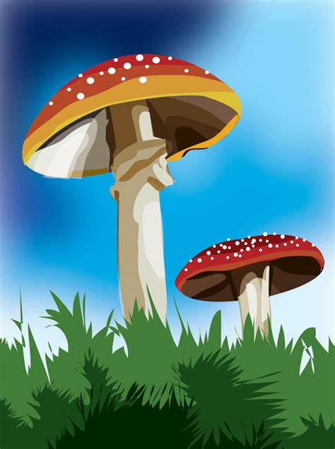 mushymushy  wardaabir  deviantart