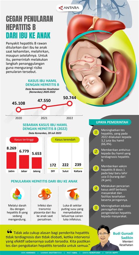 Cegah Penularan Hepatitis B Dari Ibu Ke Anak Infografik Antara News