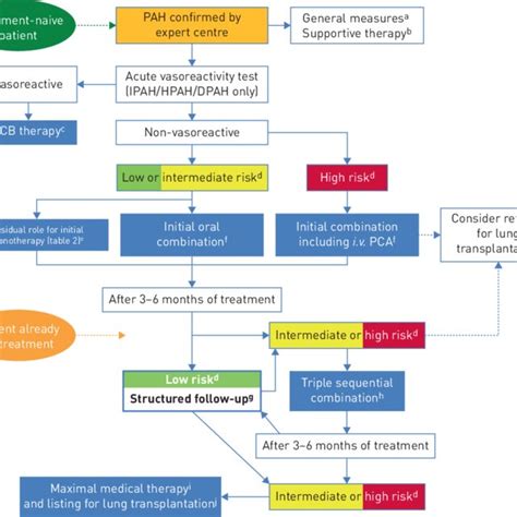 Treatment Algorithm PAH Pulmonary Arterial Hypertension IPAH