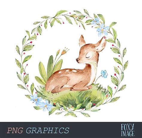 Baby Deer Clipart Watercolor Deer Png Clipart Sleeping Deer Etsy