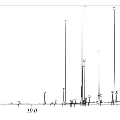 Gc Ms Chromatogram Analysis Of S Bicolor Crude Extract Download