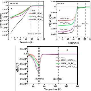 Magnetization Versus Temperature M T Dc Magnetization Curves For Bi