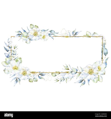 White and golden watercolor floral border with eucalyptus plant clipart ...