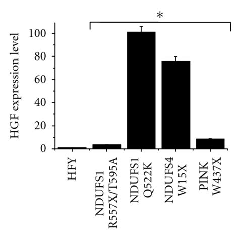 Mrna Levels Of Vegf A Sdf And Hgf Secreted By Fibroblasts Cultured