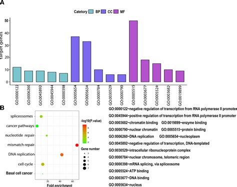 Enrichment Analysis Of Cbxs In Esca David A Bp Cc And Mf Of Go