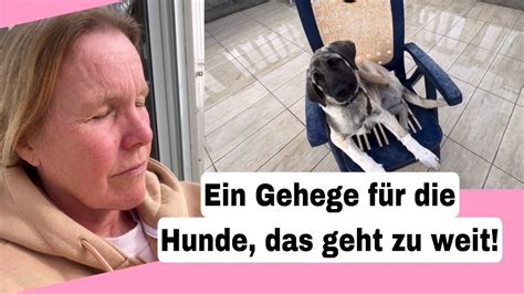 Du Behandelst Deine Hunde Schlecht Hundegehege Bauen Auswandern