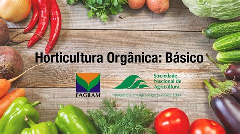 Curso de Horticultura Orgânica Básico YouTube