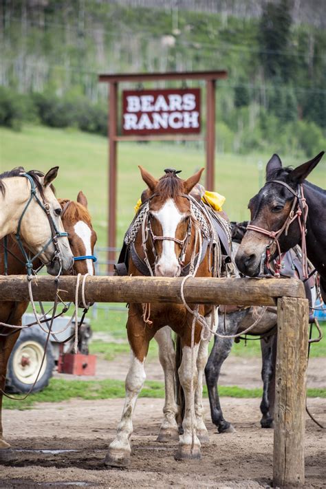 Bears Ranch Durango Colorado