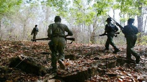 Woman Among 3 Naxals Arrested In Chhattisgarh After Gunfight India Tv