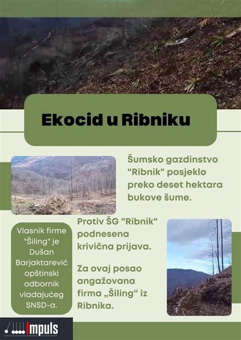 RIBNIK Clearcutting of Forests Naked Criminality in Šume