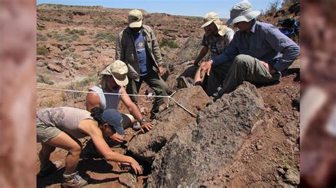 Nueva especie de dinosaurio hallan en Neuquén fósiles de un herbívoro