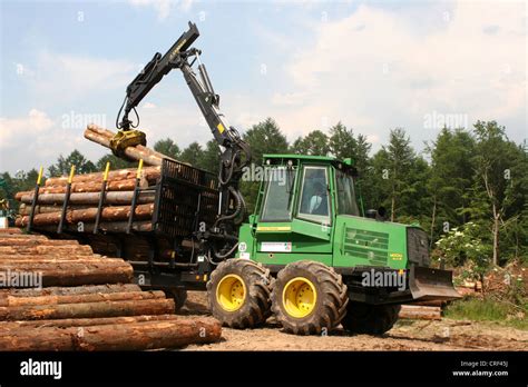 Norway Spruce Picea Abies Forwarder Handling Spruce Logs Germany