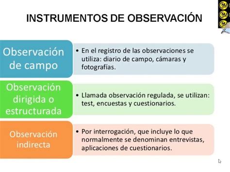 15 Ejemplos De Observación Para Mejorar Tus Habilidades De Observación