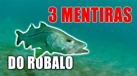 Mentiras Sobre O Robalo Dicas E T Cnicas De Pesca De Robalo Youtube