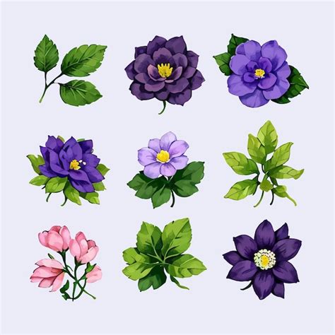 Wasserfarbvektor Set Von Blumen Bl Tenbl Ttern Sammlung Illustration