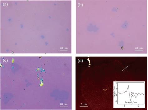 Chemical Vapor Deposition Growth Of Crystal Monolayer SnS 2 With NaCl