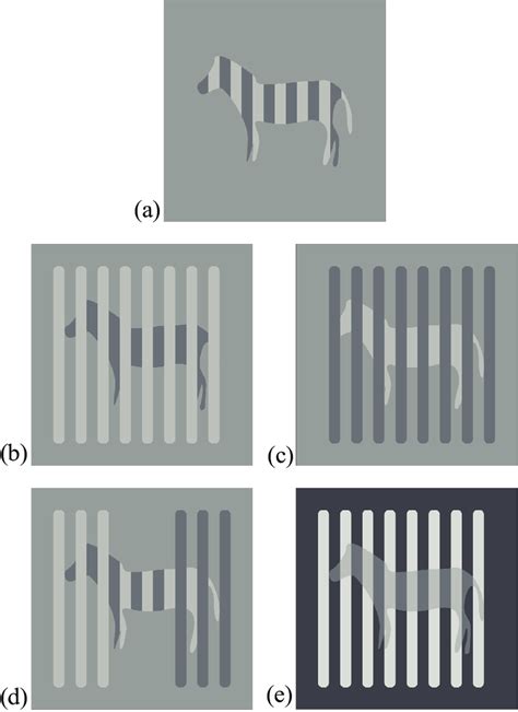 The Zebra Variants A The Target On Uniform Background B Modified