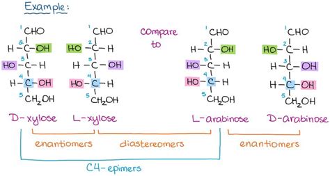 Nomenclature Of Carbohydrates The Fundamentals Organic Chemistry