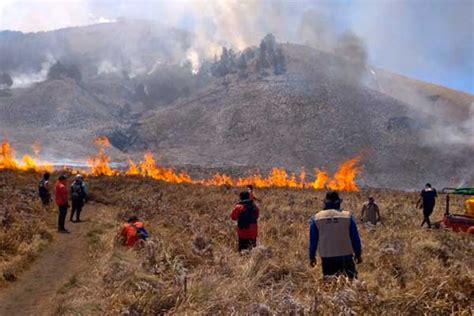 Gunung Bromo Ditutup Total Imbas Kebakaran Akibat Percikan Dari Flare