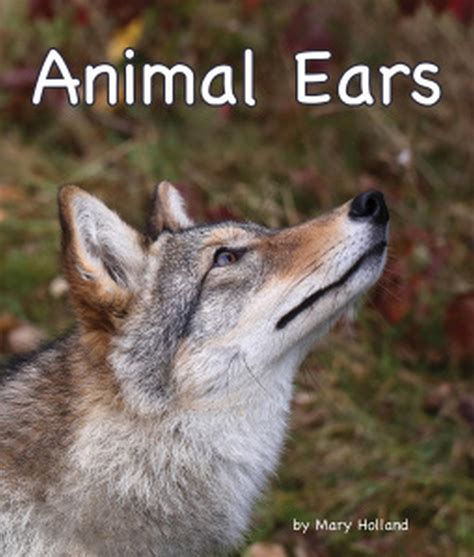 Animal Ears (Animal Anatomy & Adaptations Series)