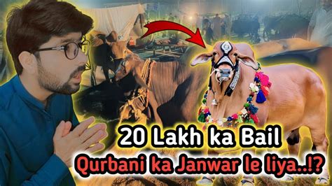 20 Lakh Ka Janwar Qurbani Ka Janwar Le Liya Mandi Vlog YouTube