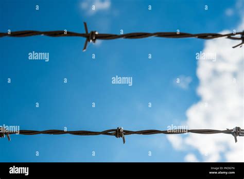 Restraining Hi Res Stock Photography And Images Alamy