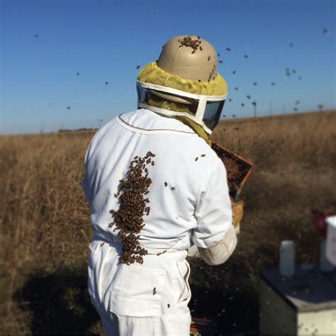 Texas Beekeeping 101