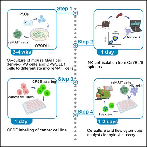 Cell Press STAR Protocols