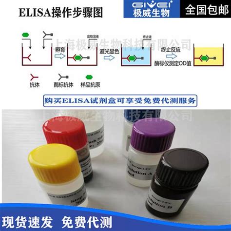 人白介素10il 10elisa试剂盒【市场行情】产品说明技术文章上海极威生物科技有限公司