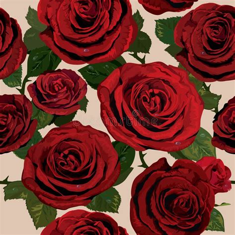 Modello Senza Cuciture Con Le Rose Rosse Illustrazione Vettoriale